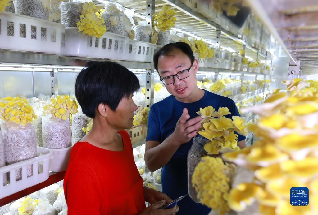 电玩城上下分可提现